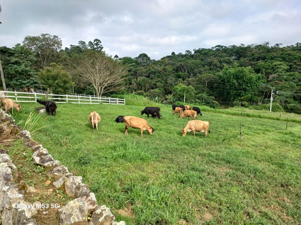 I Encontro de Conscientização sobre Leite Sustentável no Alto Tietê