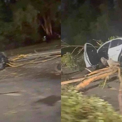 Acidente na BR-356 próximo ao BH Shopping: carros colidem e árvore cai sobre os veículos; confira o vídeo.